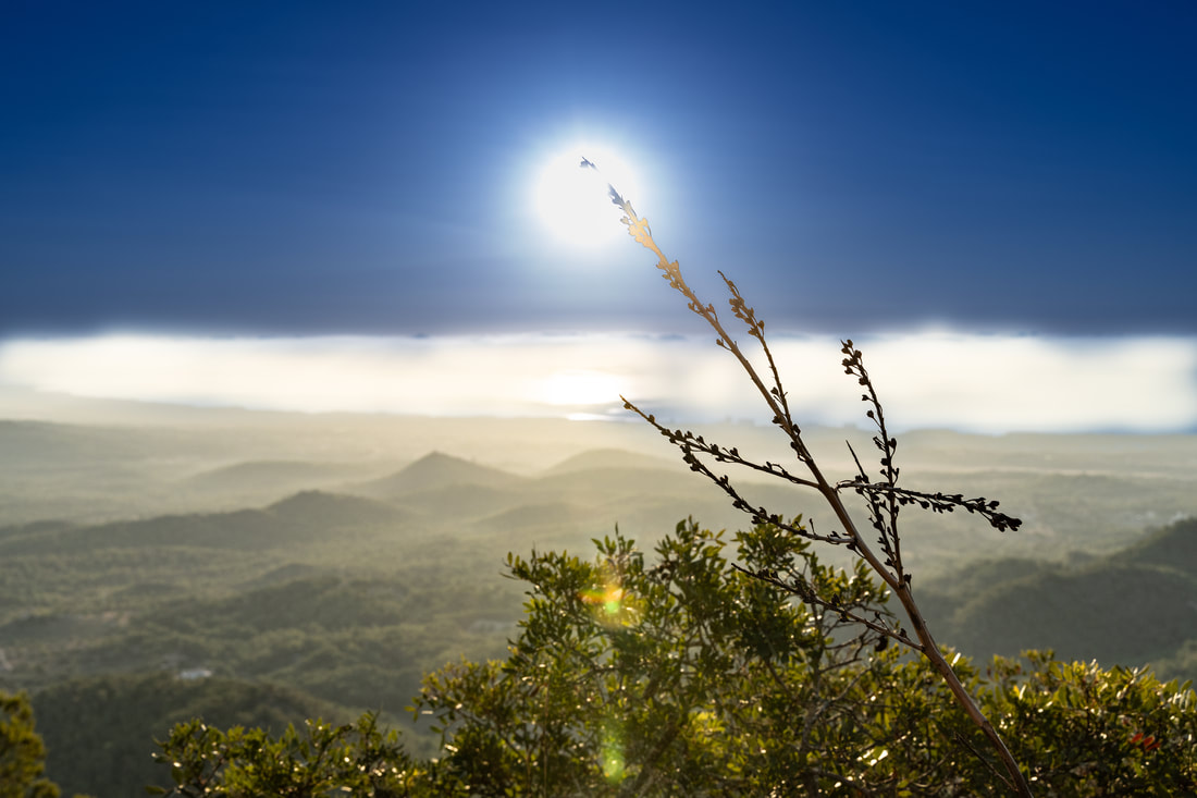 Verschneite Alpen bei Sonnenaufgang
